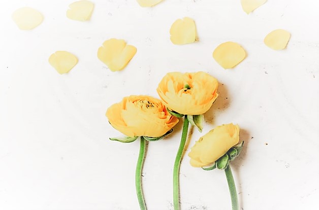 人前で演奏したくない（できない）ピアノの先生へ【反響多数】